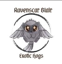 Ravenscar Blair Exotic Hogs  Logo