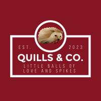 Quills and Co Logo